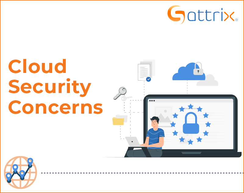 Cloud Security: Navigating Usage and Concerns in the Digital Age