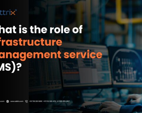 What is the role of Infrastructure Management Service (IMS)?