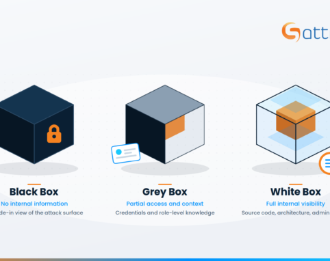 Black Box vs Grey Box vs White Box Testing: Which VAPT Method Should You Choose?