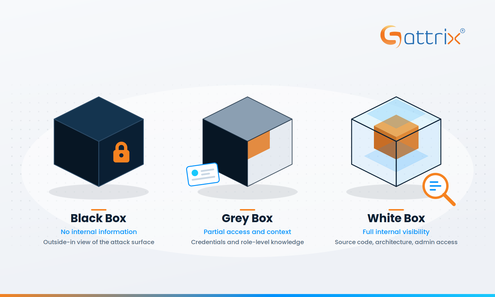 Black Box vs Grey Box vs White Box Testing: Which VAPT Method Should You Choose?