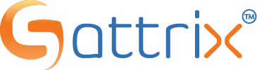 Sattrix Information Security logo